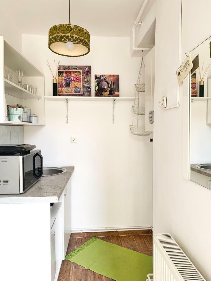 Pine House Appartement Braşov Buitenkant foto